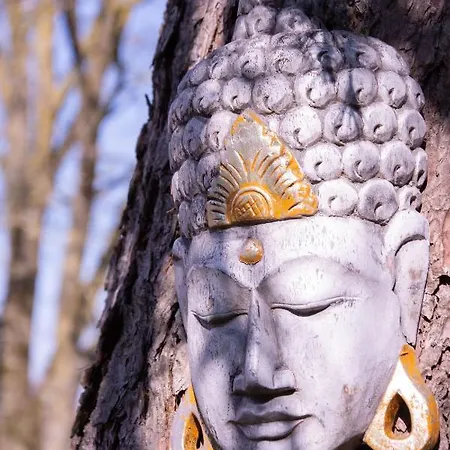 Bed & Breakfast Manoir Le Refuge 4*